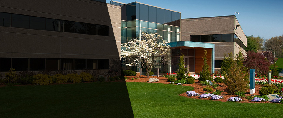 Mineral Bluff Landscapers