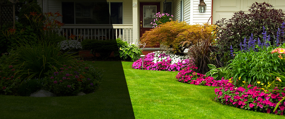Mineral Bluff Landscapers