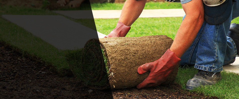 Mineral Bluff Landscapers